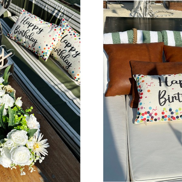 a close up of a flower